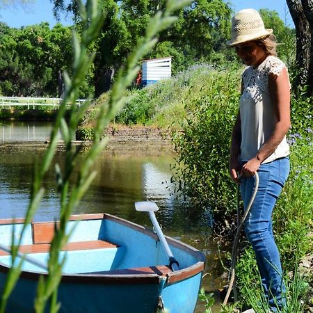 Quinta Da Saudade Ξενοδοχείο Ponte de Sor Εξωτερικό φωτογραφία