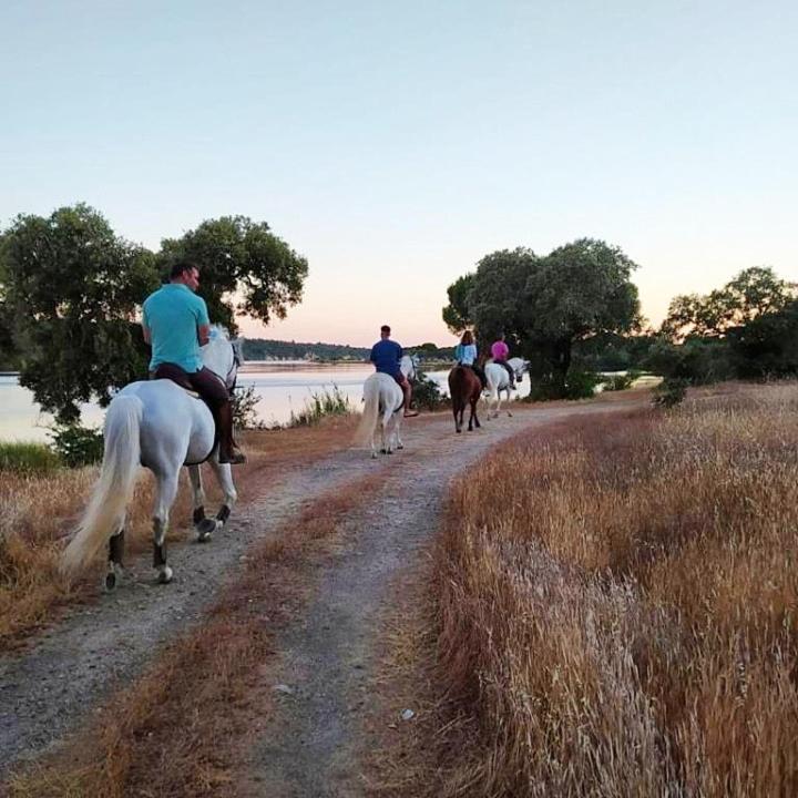 Quinta Da Saudade Ξενοδοχείο Ponte de Sor Εξωτερικό φωτογραφία