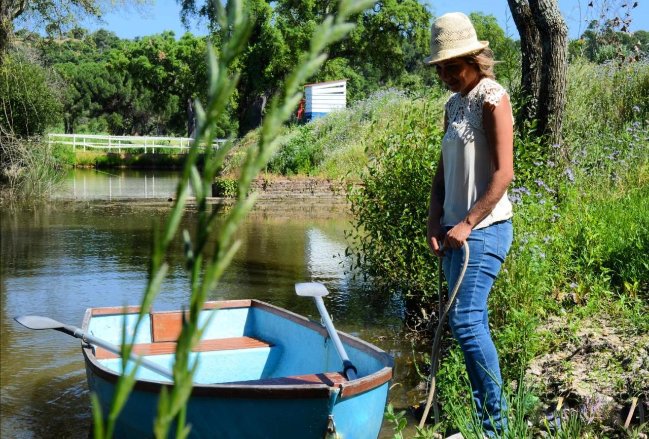 Quinta Da Saudade Ξενοδοχείο Ponte de Sor Εξωτερικό φωτογραφία