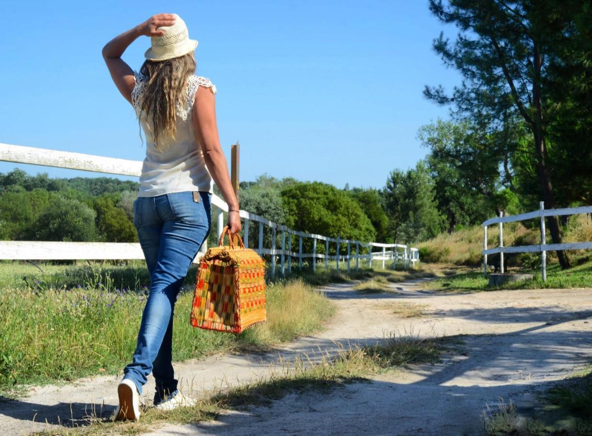 Quinta Da Saudade Ξενοδοχείο Ponte de Sor Εξωτερικό φωτογραφία
