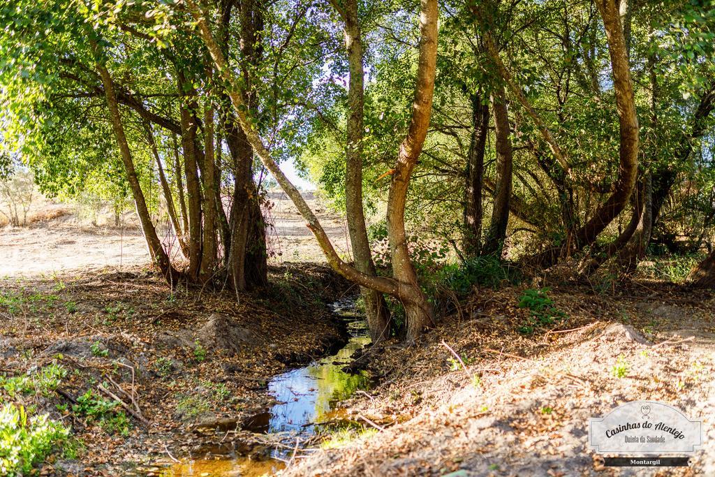 Quinta Da Saudade Ξενοδοχείο Ponte de Sor Εξωτερικό φωτογραφία
