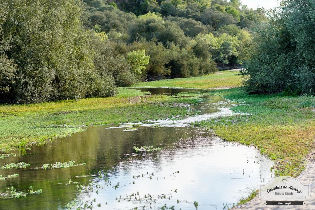 Quinta Da Saudade Ξενοδοχείο Ponte de Sor Εξωτερικό φωτογραφία