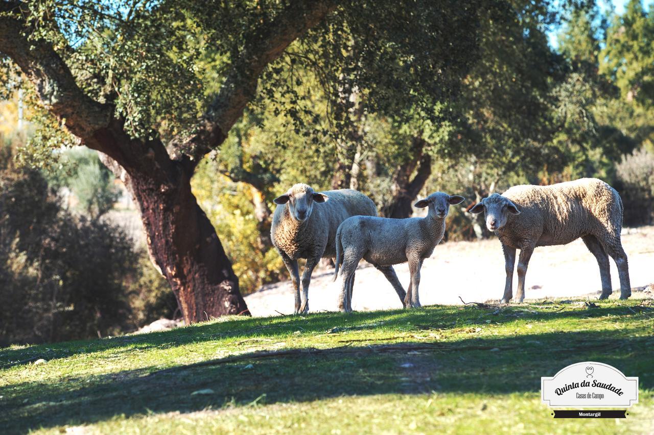 Quinta Da Saudade Ξενοδοχείο Ponte de Sor Εξωτερικό φωτογραφία