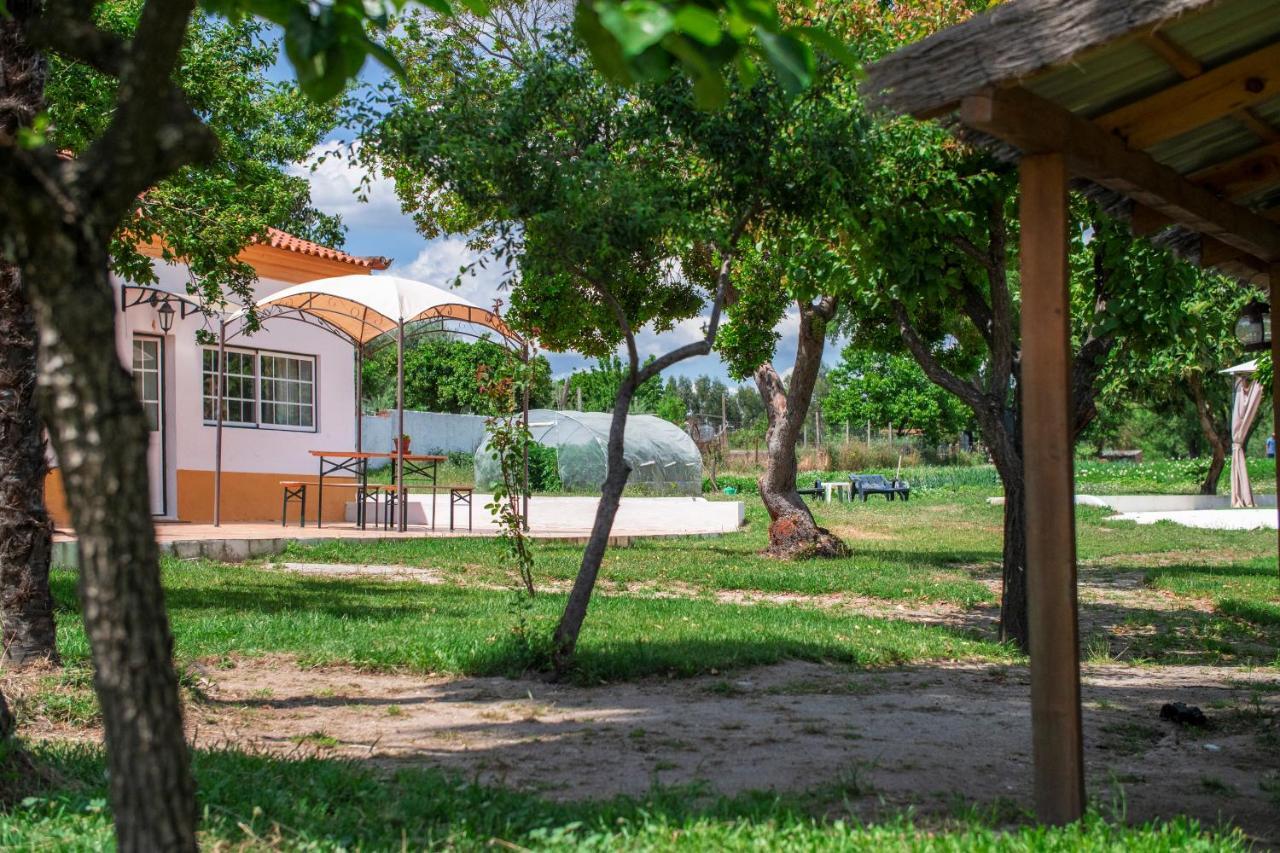 Quinta Da Saudade Ξενοδοχείο Ponte de Sor Εξωτερικό φωτογραφία