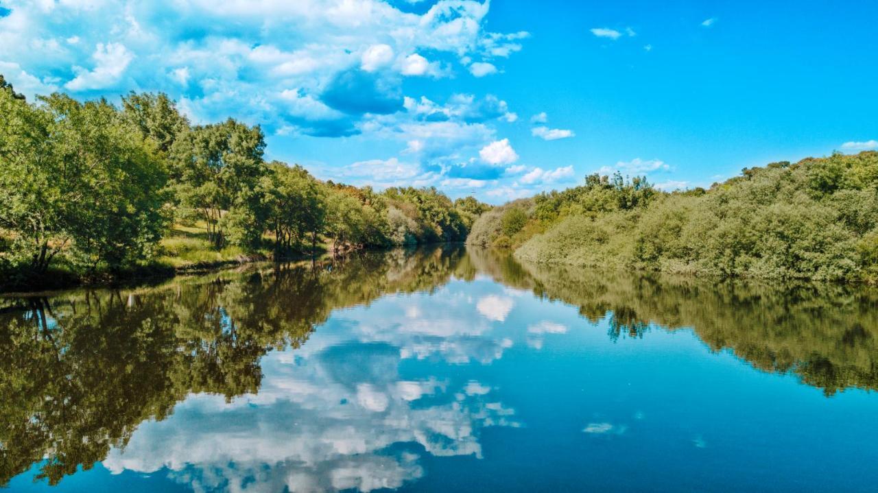 Quinta Da Saudade Ξενοδοχείο Ponte de Sor Εξωτερικό φωτογραφία